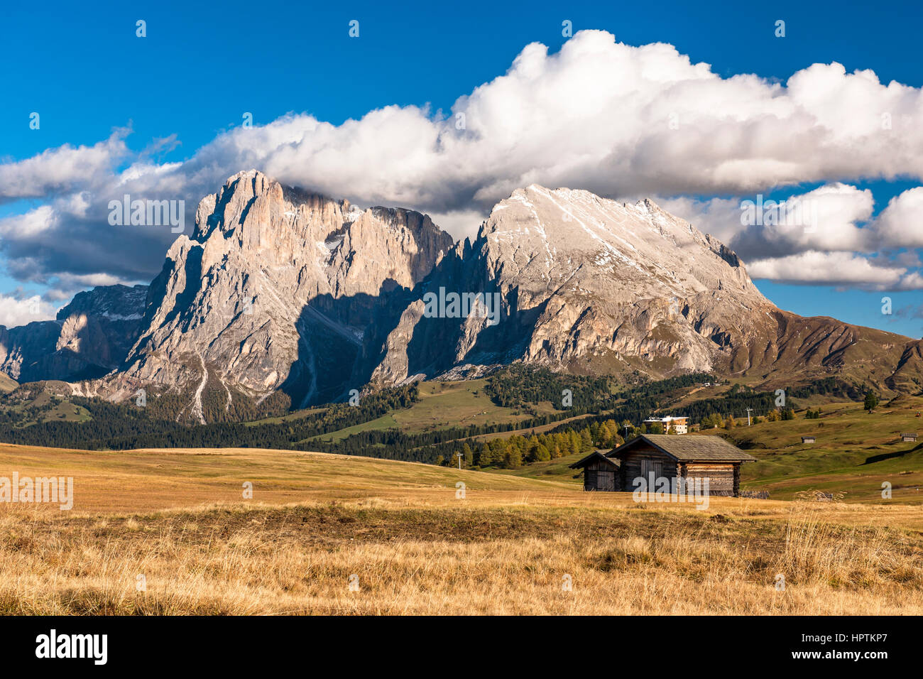 Italien, Südtirol, Seiser Alm, Langkofel und Plattkofels Stockfoto