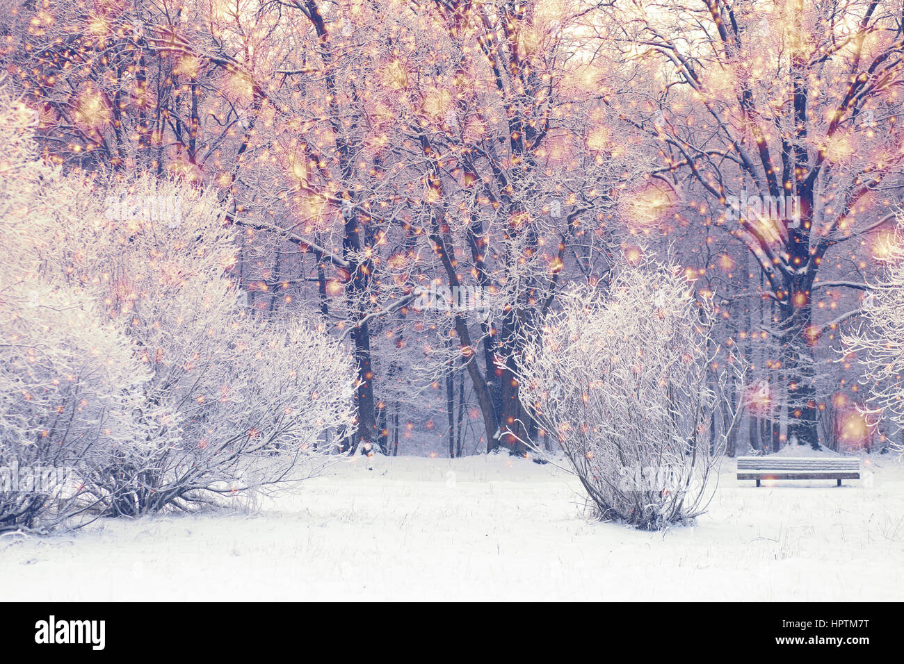 Hellen Weihnachten Hintergrund. Weihnachten Schneefall im verschneiten Park. Farbe Schneeflocken auf weißem Hintergrund. Stockfoto