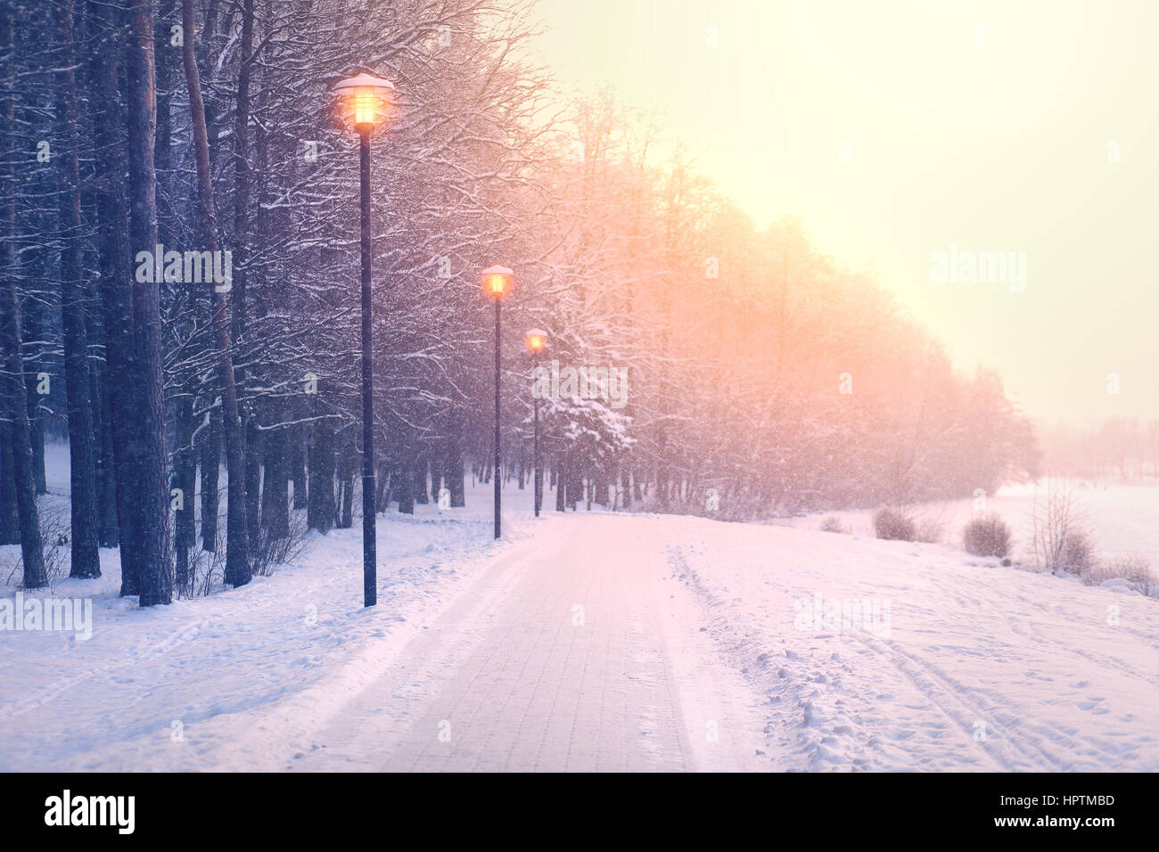 Schneefall im Park. Hellen Winter Sunrise. Schöne Winter-Thema. Schneeflocken durch die aufgehende Sonne beleuchtet. Stockfoto