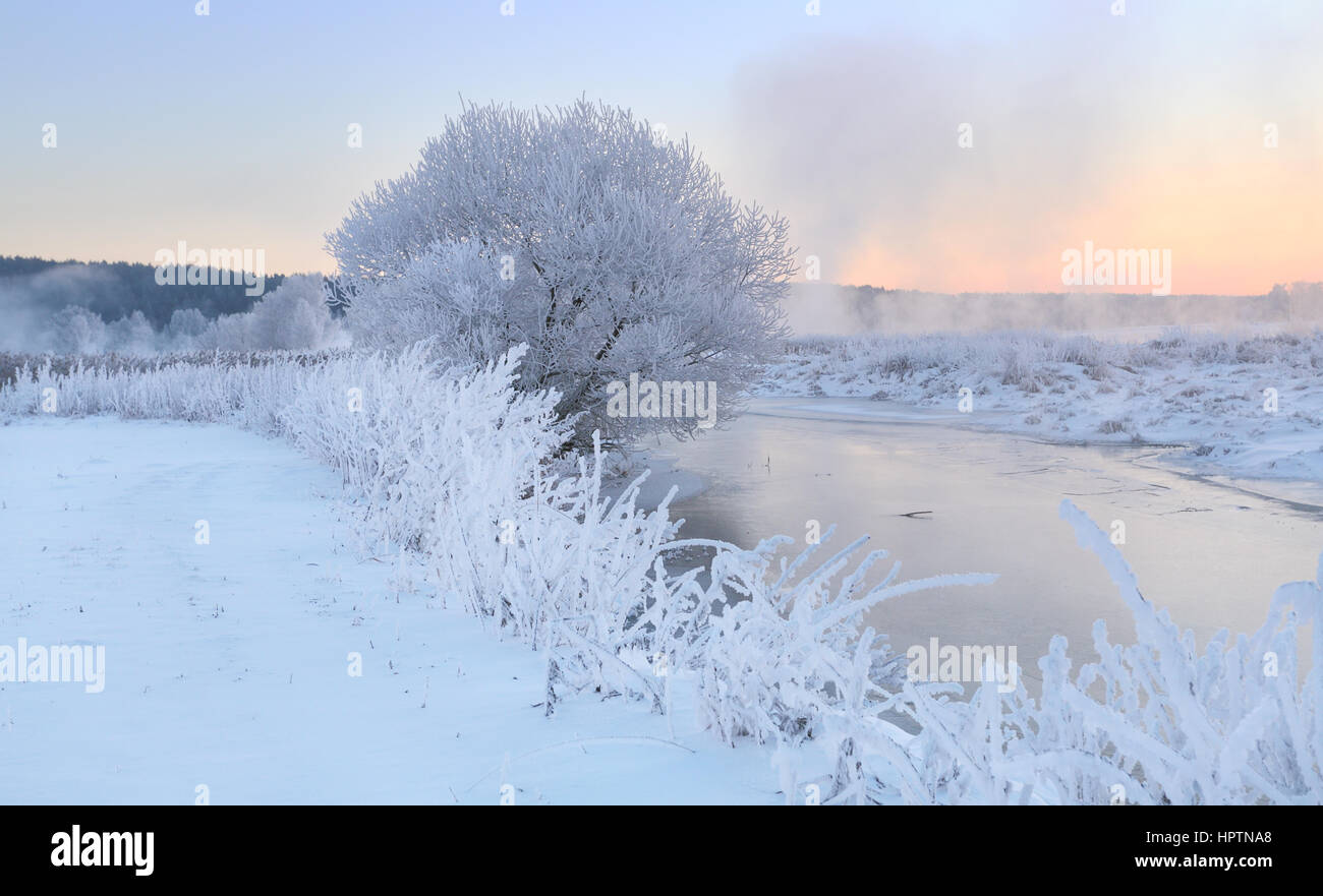 Nebligen Winter Sunrise. Kalten Dezembermorgen. Winter-Weihnachts-Thema Stockfoto