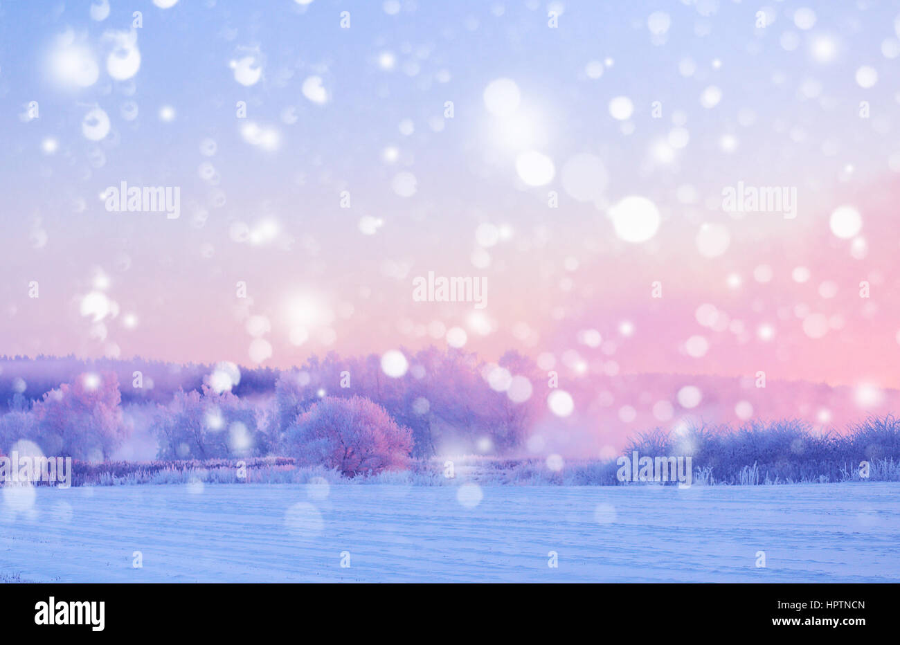 Weihnachten Hintergrund mit weißen Schneeflocken. Landschaft der Wintermorgen. Bäume mit Raureif durch aufgehende Sonne beleuchtet. Stockfoto