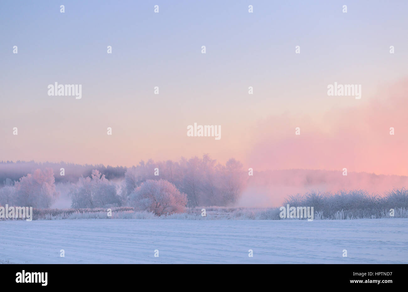 Weihnachten-Himmel über schneebedecktes Feld Farbe. Schöne Weihnachten Morgen. Neblig Winterlandschaft. Stockfoto