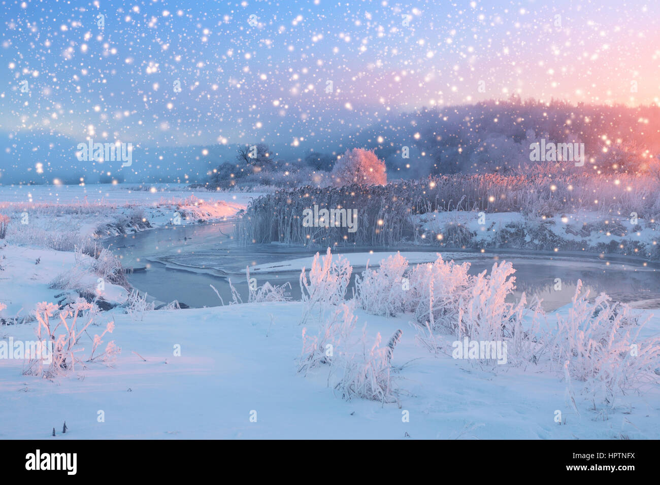 Hellen Weihnachtsmorgen mit Schneefall. Schneeflocken fallen auf schneebedeckten Feld. Winter-Weihnachts-Thema. Stockfoto