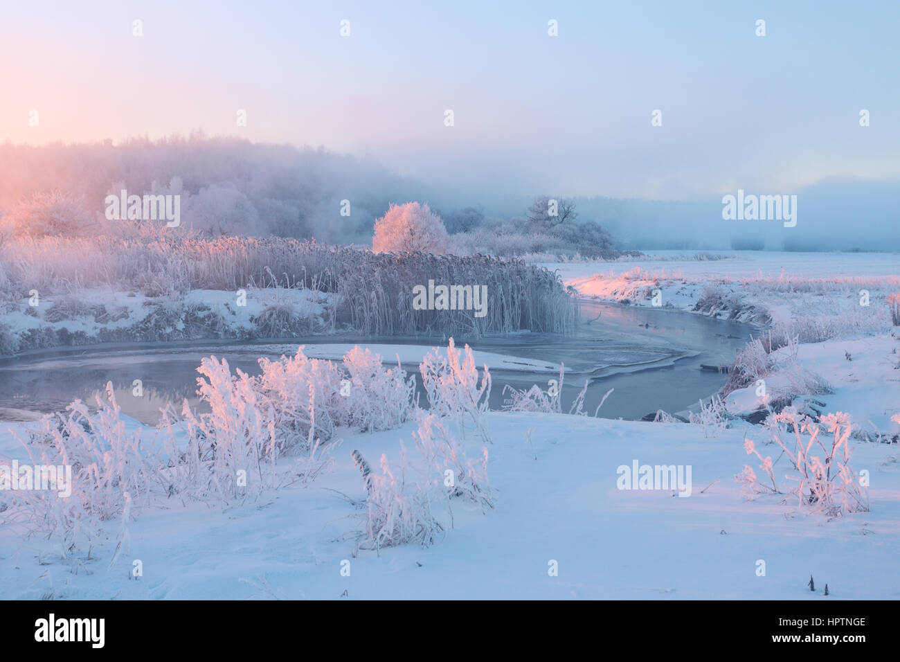 Nebligen Wintermorgen. Frostigen Winter Sunrise. Hellen Winterlandschaft mit Raureif überall. Stockfoto