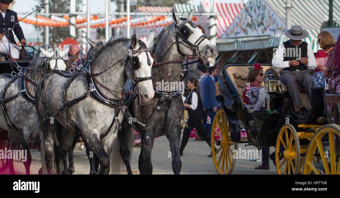 Sevilla, Spanien - 25 APR: Pferd Kutsche Sevilla April Fair am 25. April 2014 in Sevilla, Spanien Stockfoto