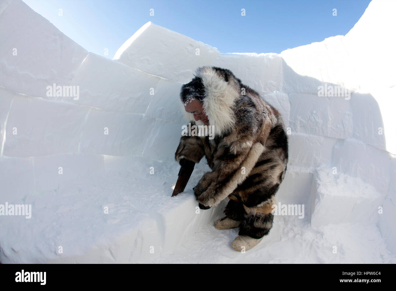 Aufbau einer Iglo am Nordpol Stockfoto