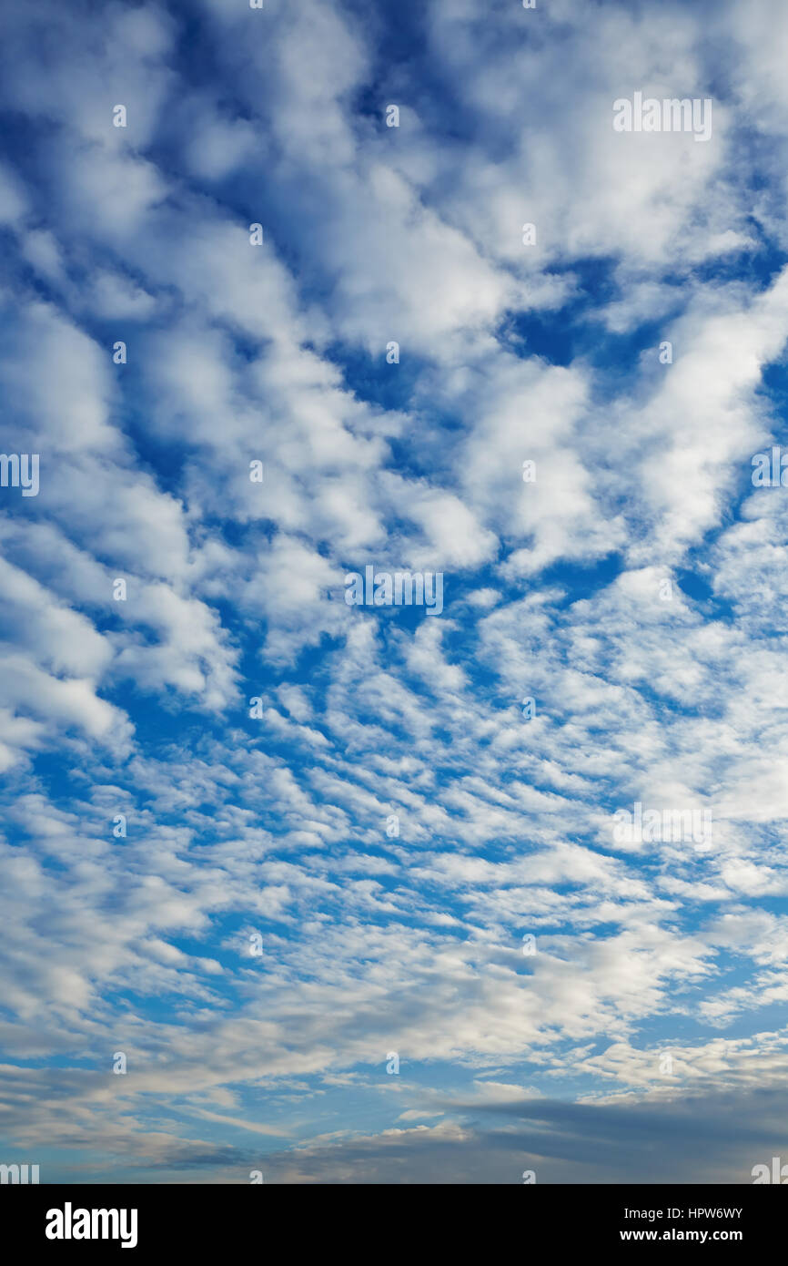 Viele kleine flauschige Wolken am blauen Himmel Stockfoto