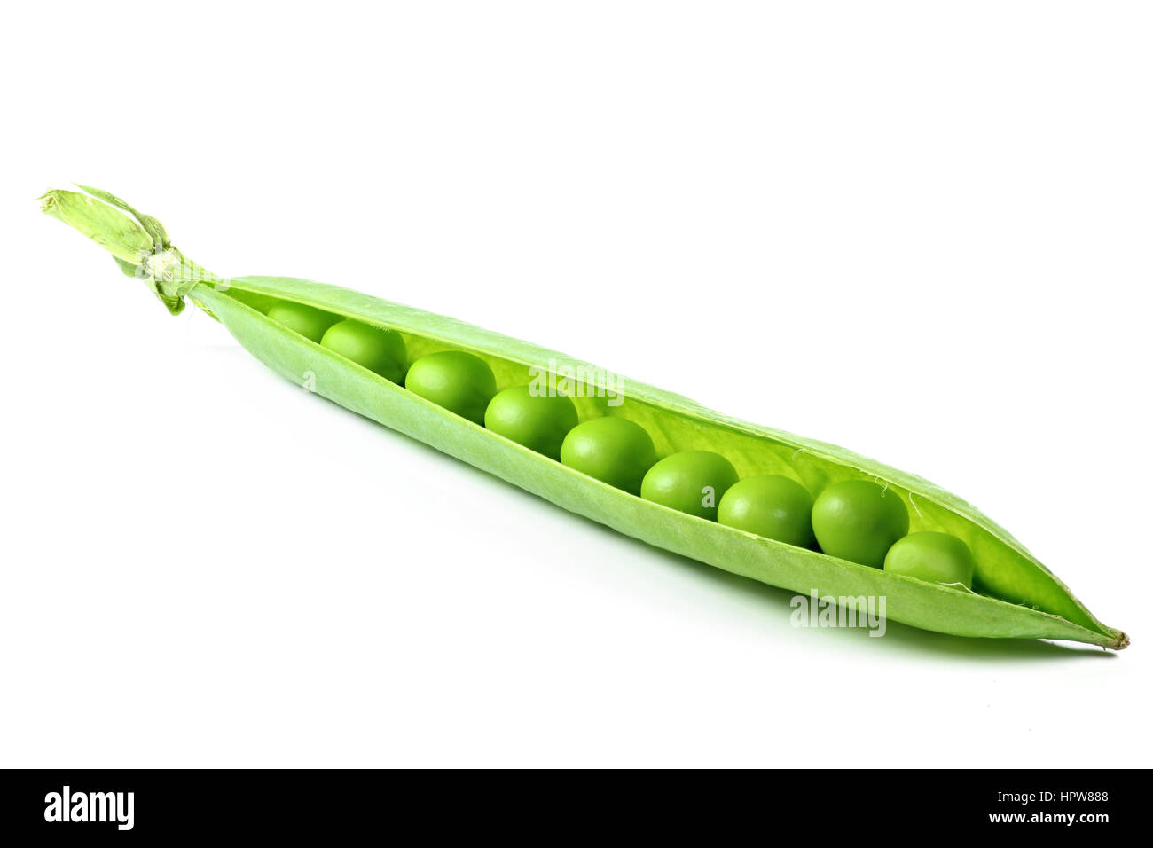 PEA Pod isoliert auf weißem Hintergrund Stockfoto