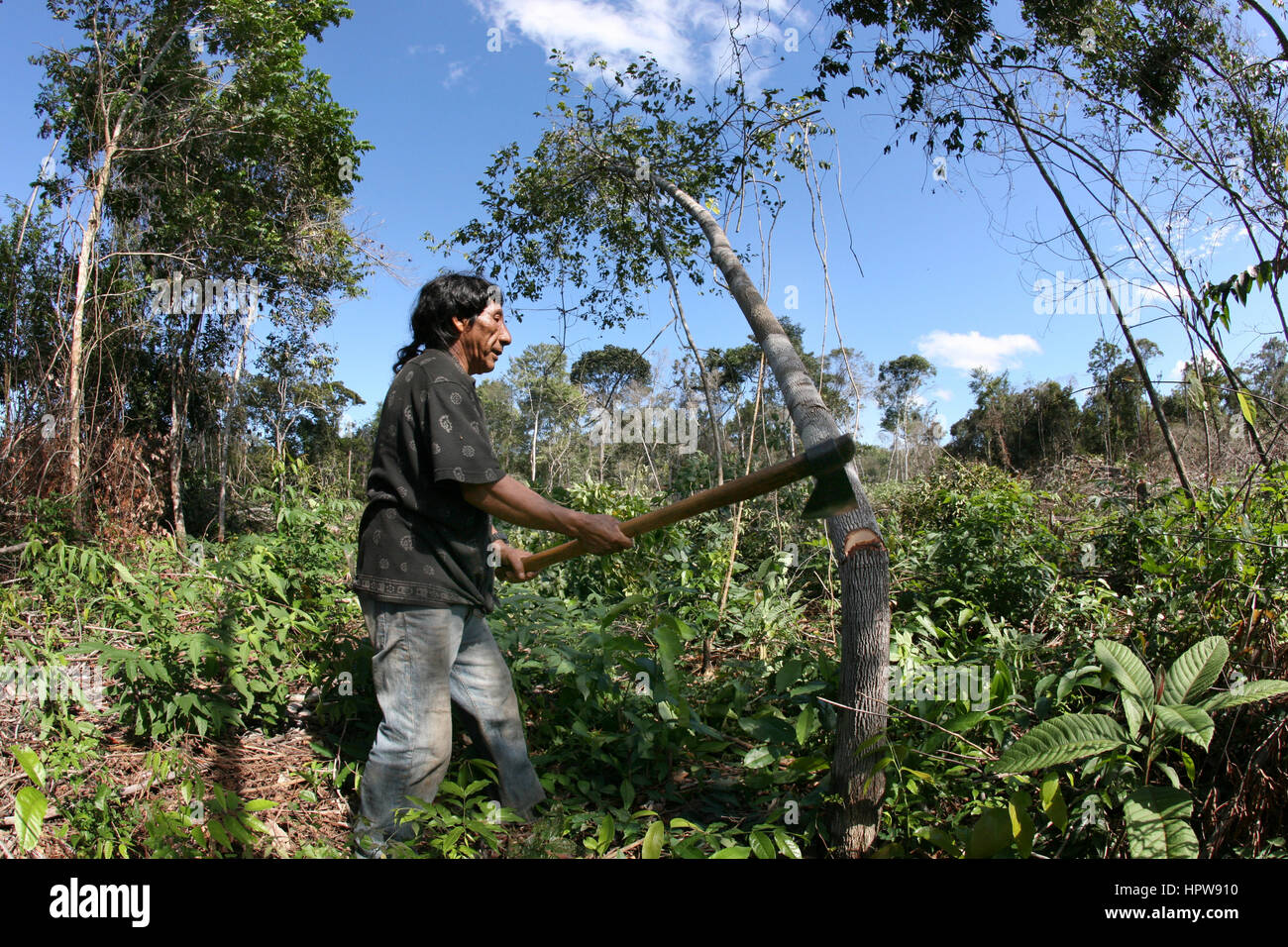 Ein Lrage Bestandteil der Amazone wurde zerstört und in Ackerland überführt. Die wichtigsten angebauten sind Soja, Rasen für Vieh und Mais. Die meisten der Pflanzen werden für die Herstellung von Biokraftstoffen verwendet oder exportiert nach Europa oder USA für Tierfutter Stockfoto