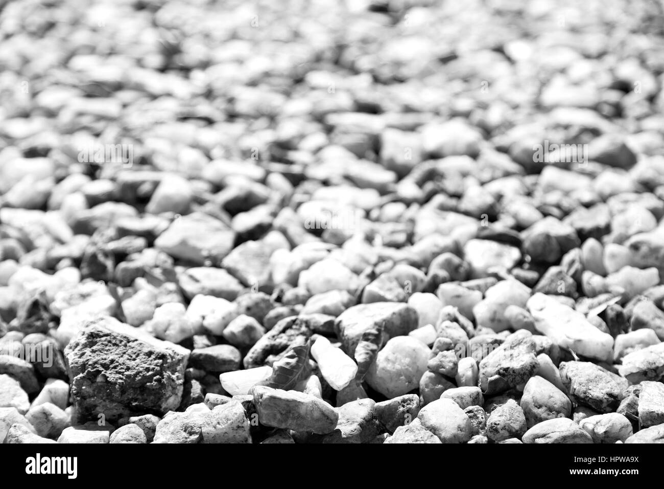 in Südafrika hautnah Felsen Steine in der Nähe von Strand und Unschärfe Licht Stockfoto