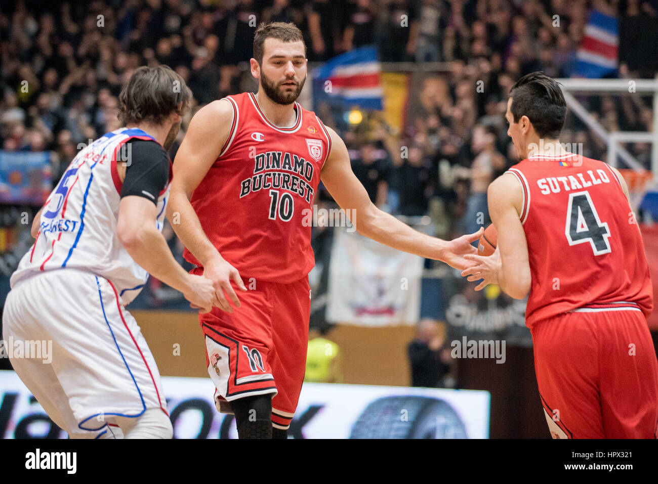 31. Januar 2016: Pavel Marinov #10 von CS Dinamo Bukarest während der LNBM - Herren Basketball-Bundesliga Rumänien Spiel zwischen Steaua CSM EximBank Bukarest (ROU) Vs CS Dinamo Bukarest (ROU) in Polyvalent Sporthalle in Bukarest, Rumänien ROU.   Foto: Cronos/Catalin Soare Stockfoto