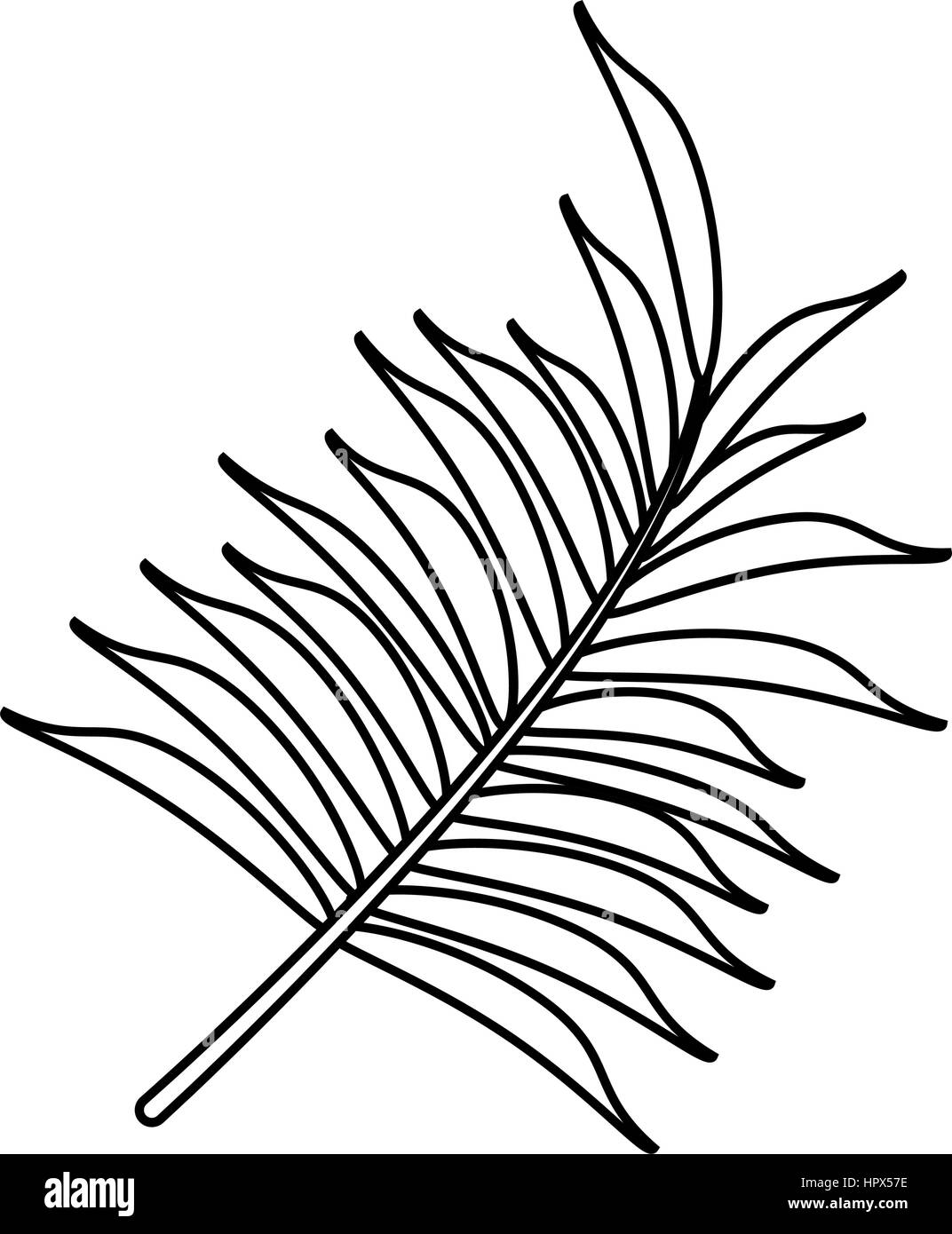 verlassen Sie Palm tropische Flora dünne Linie Stock Vektor