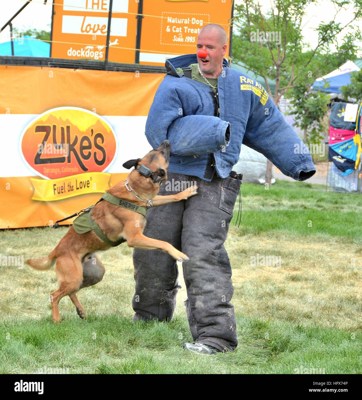 Polizei Hund Demonstration Stockfoto