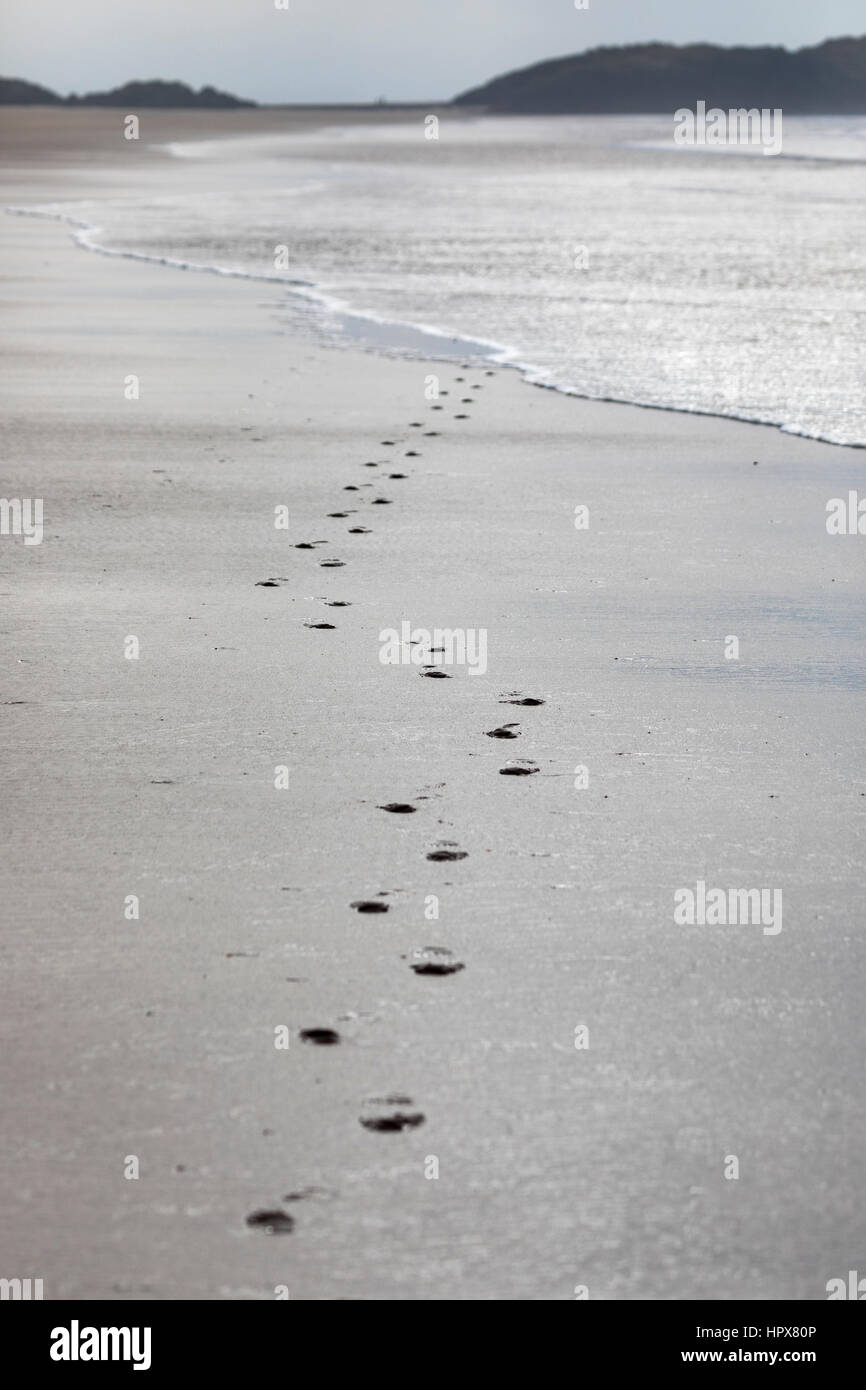Fußspuren im Sand wird von der Flut an einem einsamen Sandstrand an Newborough Strand, Anglesey, Wales weggespült Stockfoto