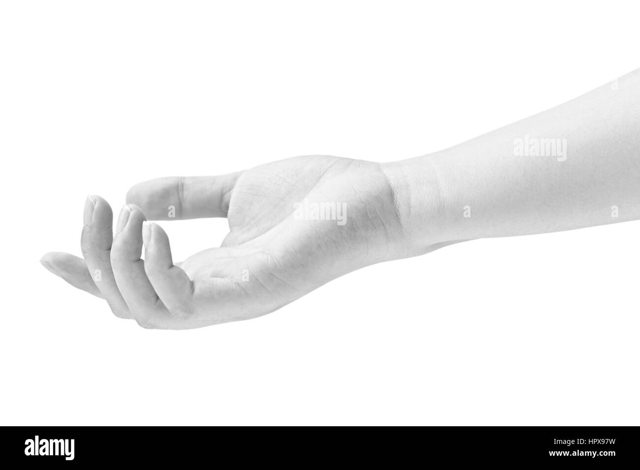 schwarze und weiße Closeup Schuss einer entspannten menschlichen Hand, isoliert auf weißem Hintergrund. Stockfoto