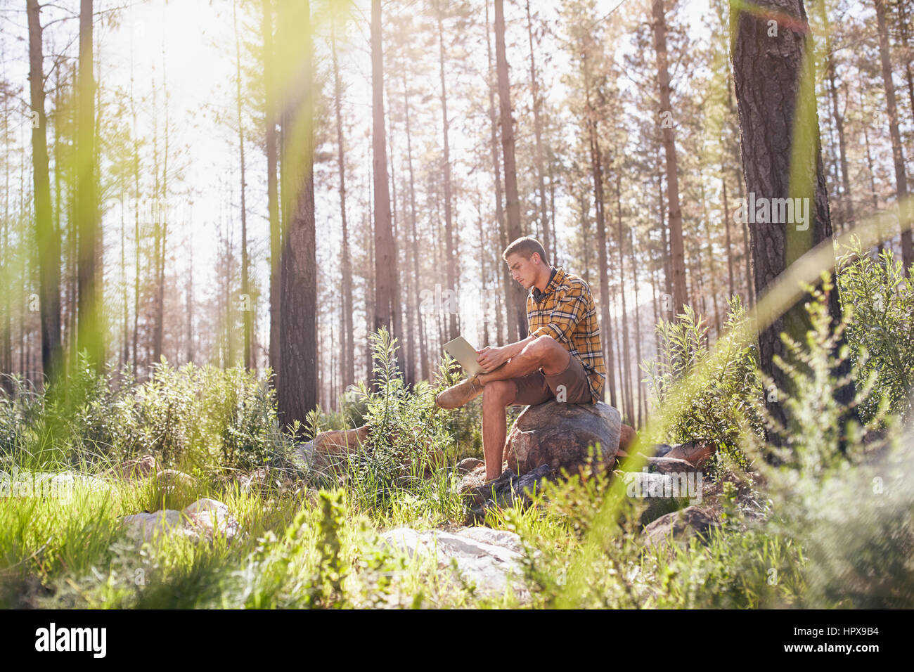 Junger Mann mit digital-Tablette im sonnigen Wald Stockfoto