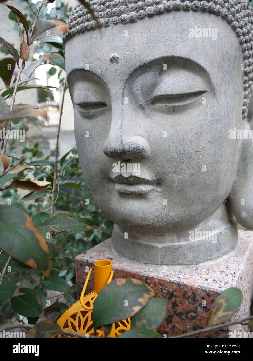 Buddha Stockfoto