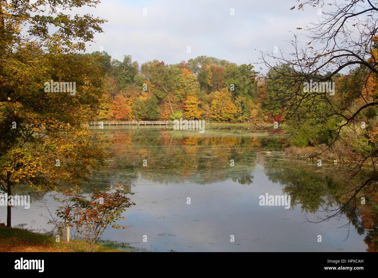 Die Parkbank in den herbstlichen Wald. Stockfoto