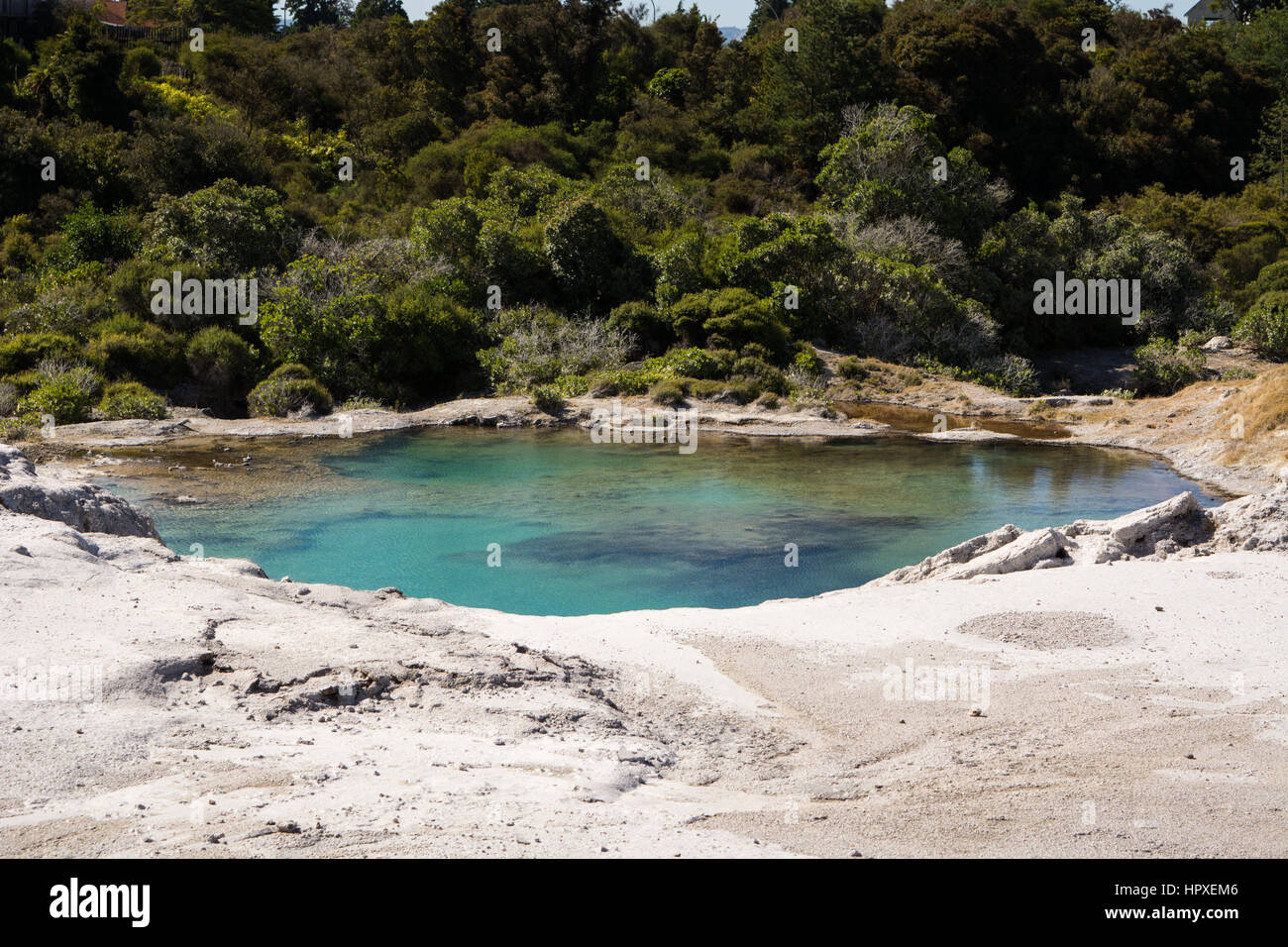 Thermalbad Rotorua Neuseeland Stockfoto