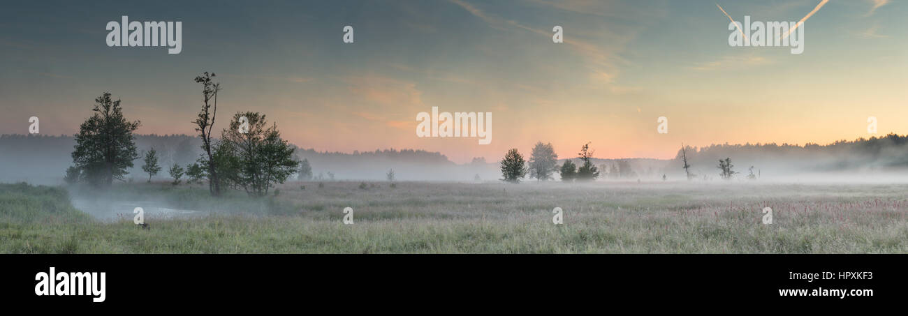 Nebliger Morgen Sommerlandschaft des Panorama-Sichtfeld Stockfoto