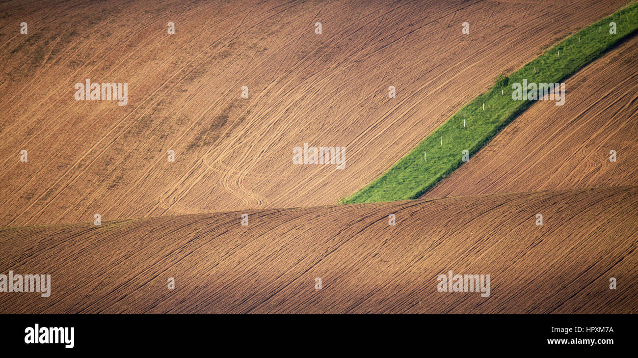 Braun kultivierten Feld mit grünen Linie auf Mitte Stockfoto