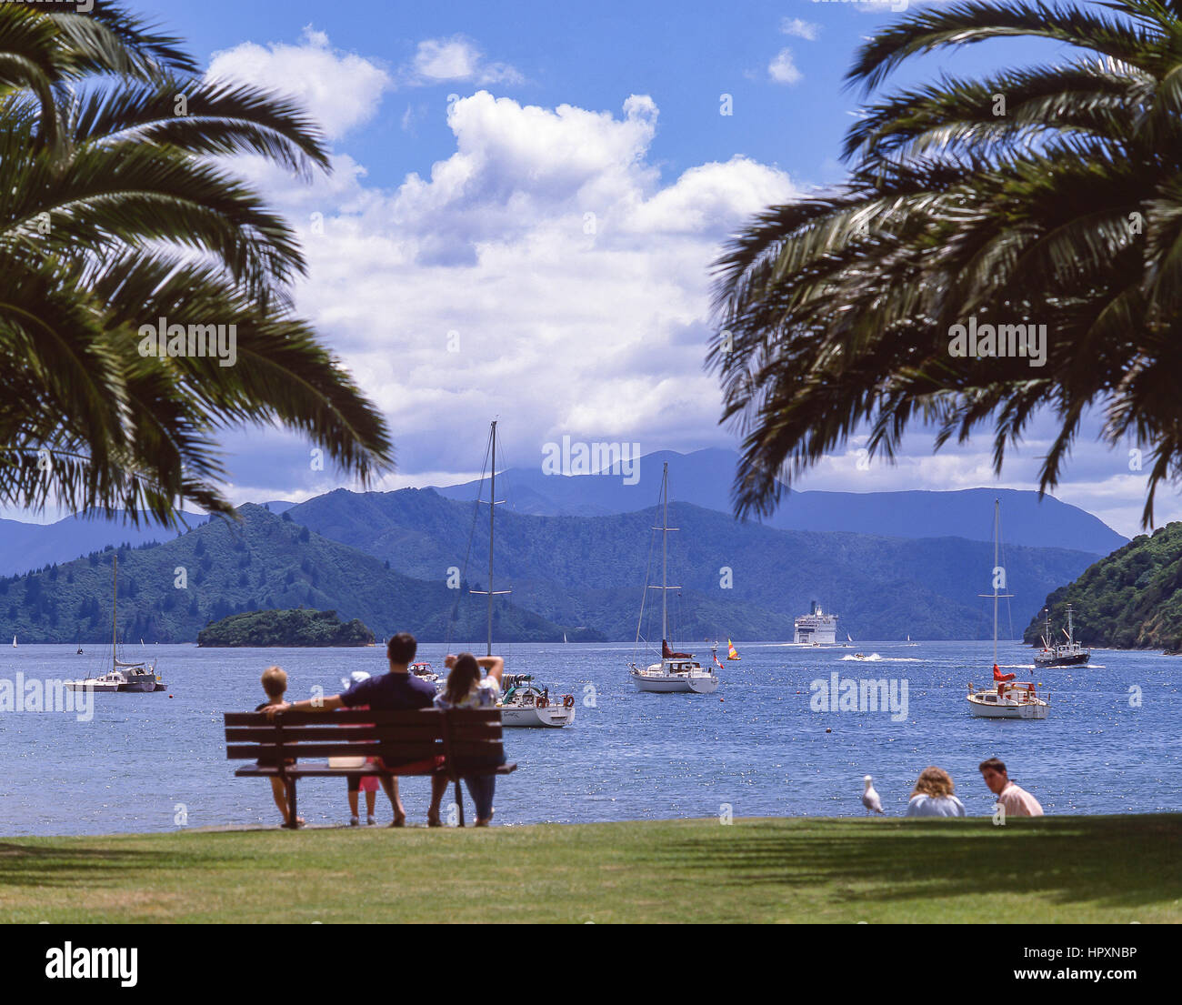 Blick auf das Vorland, Picton, Queen Charlotte Sound, Marlborough Sounds, Marlborough Region, Südinsel, Neuseeland Stockfoto