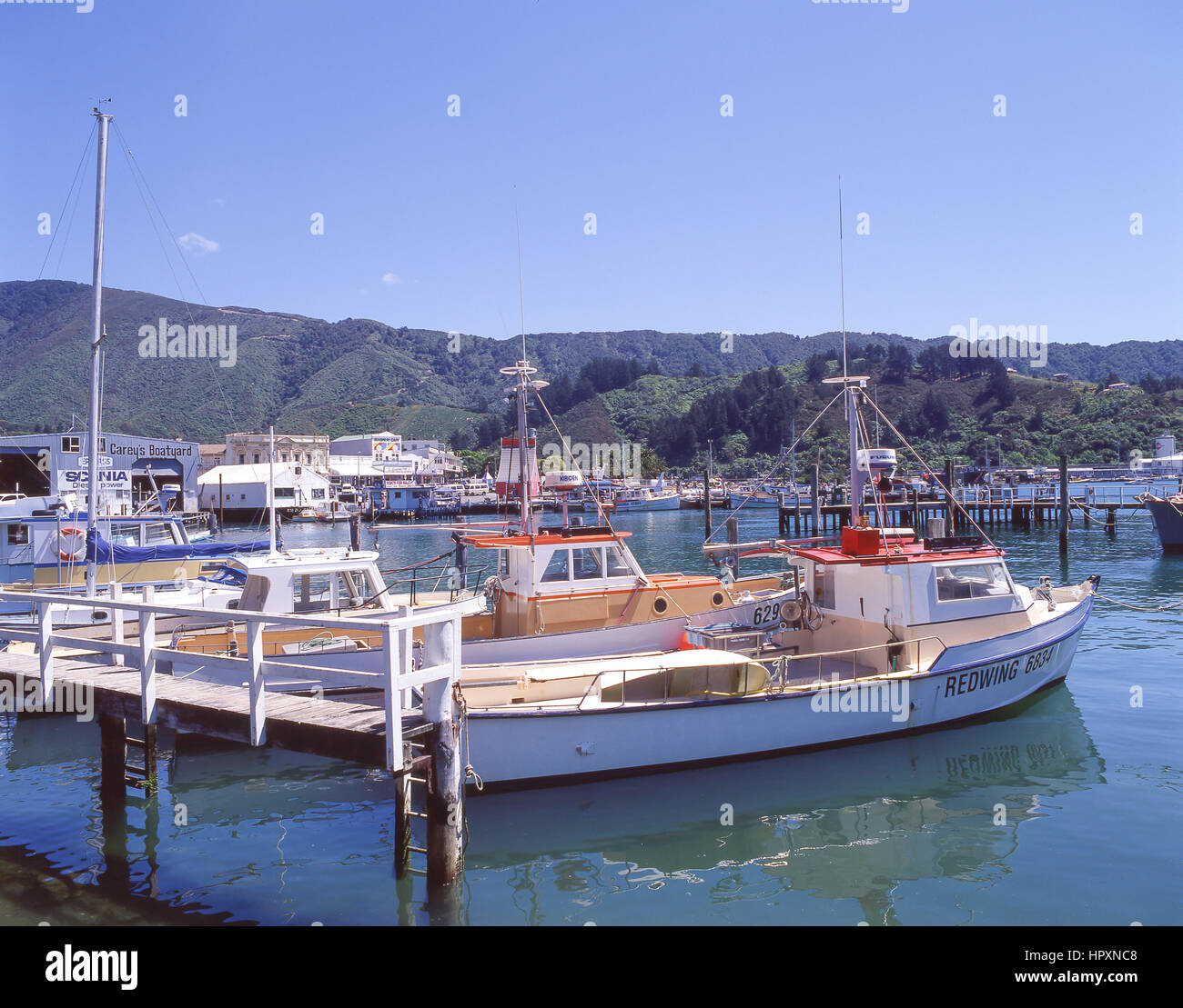 Angelboote/Fischerboote im Hafen, Picton, Queen Charlotte Sound, Marlborough Sounds, Marlborough Region, Südinsel, Neuseeland Stockfoto