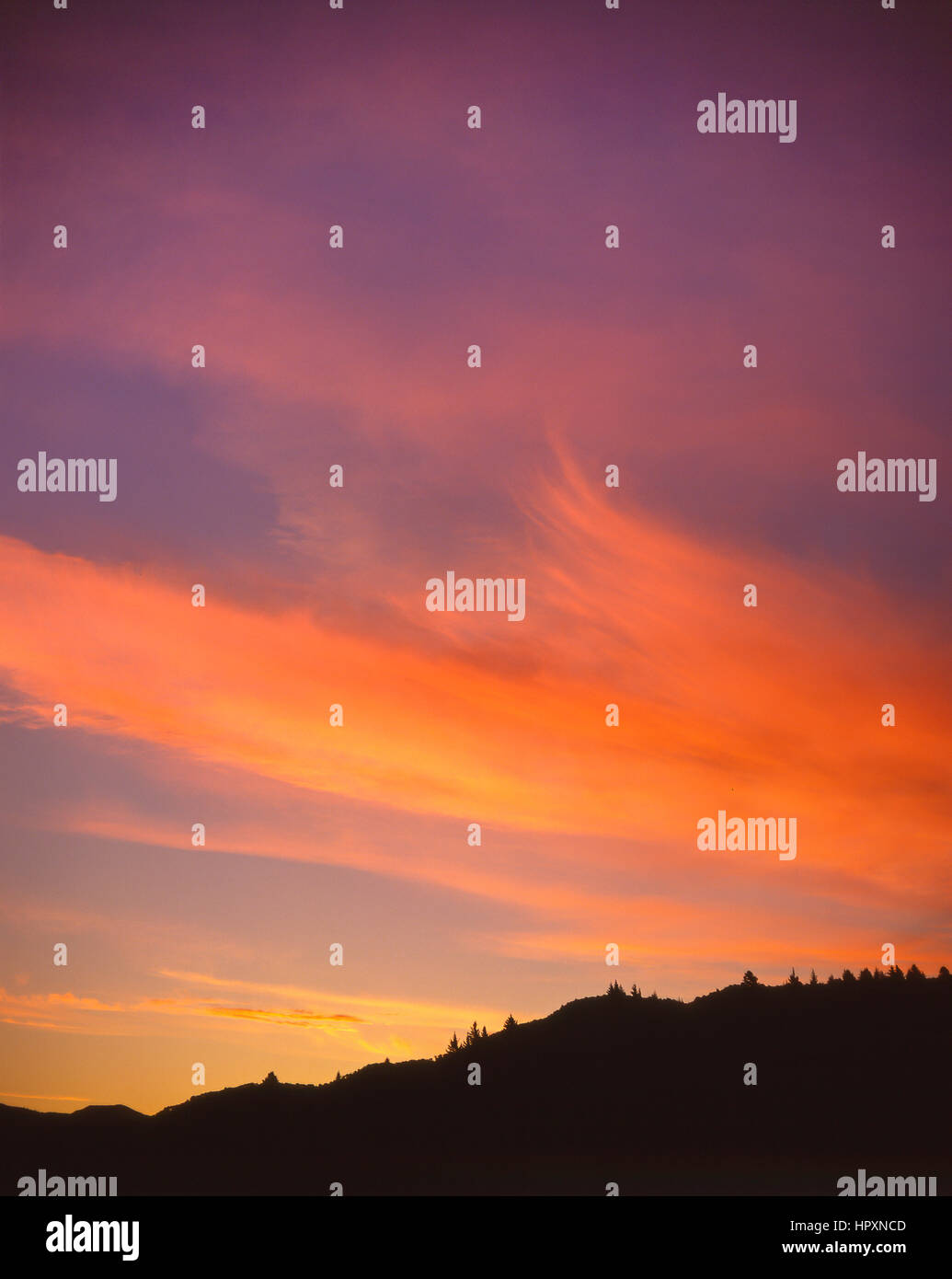 Sonnenuntergang am Queen Charlotte Sound, Marlborough Sounds, Marlborough, Lochmara Bay, Südinsel, Neuseeland Stockfoto