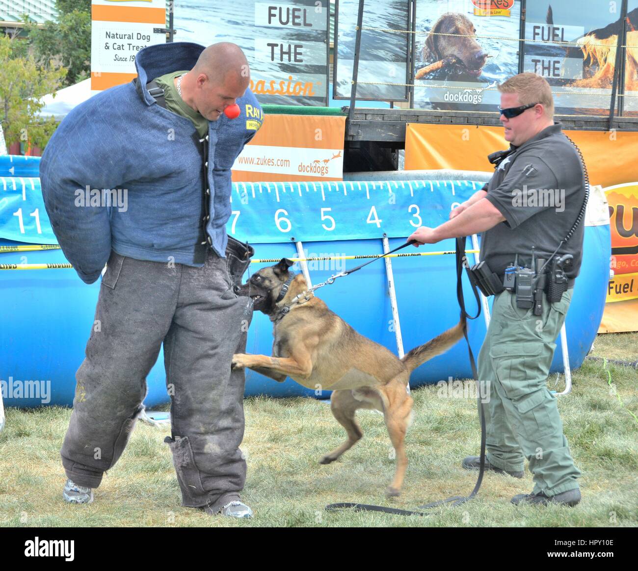 Polizei Hund Demonstration Stockfoto