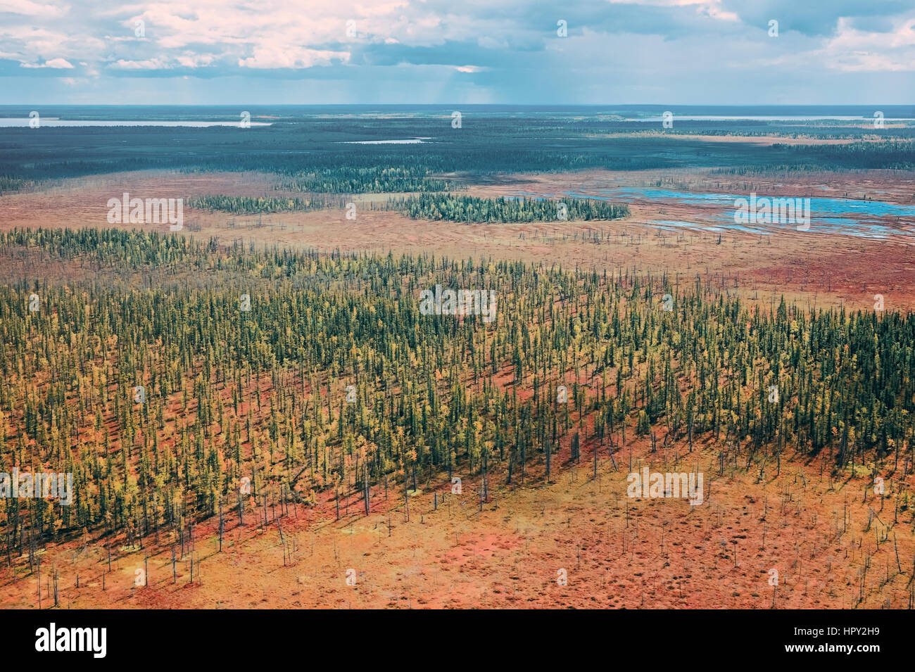 Russia Tundra Summer Stockfotos & Russia Tundra Summer Bilder - Alamy