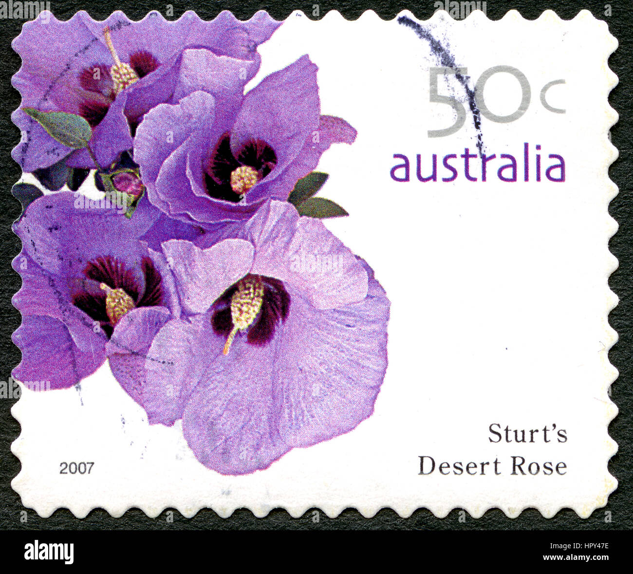 Australien - CIRCA 2005: Eine gebrauchte Briefmarke aus Australien, ein Bild einer Sturts Wüsten Rose Blume, ca. 2005. Stockfoto
