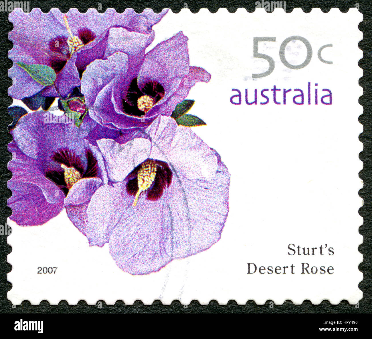 Australien - CIRCA 2005: Eine gebrauchte Briefmarke aus Australien, ein Bild einer Sturts Wüsten Rose Blume, ca. 2005. Stockfoto
