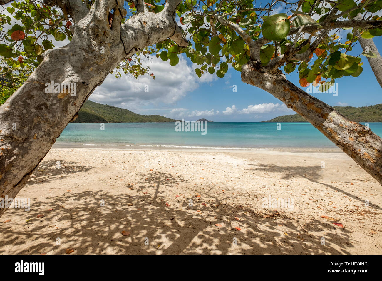 Die erstaunliche Magens bay Strand in St. Thomas US Jungferninseln in der Karibik Stockfoto