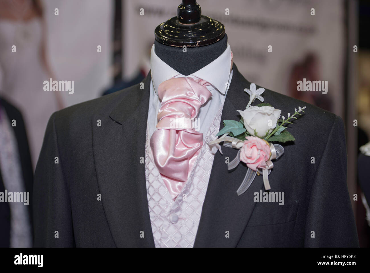 Bräutigam; s outfit Stockfoto