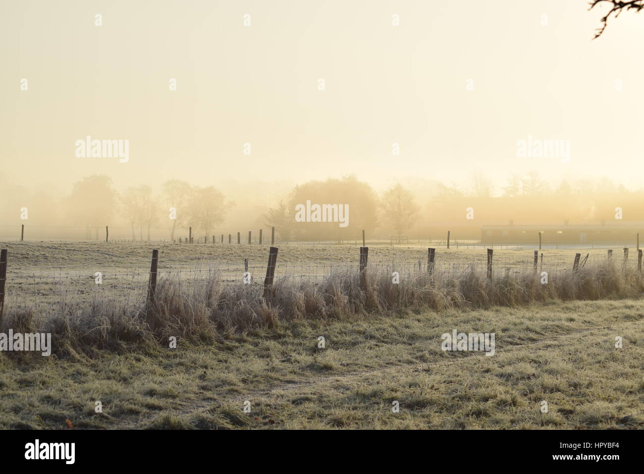 Frühe Nebel frostigen Morgen in Allerød Dänemark mit Blick auf die Kirche Stockfoto