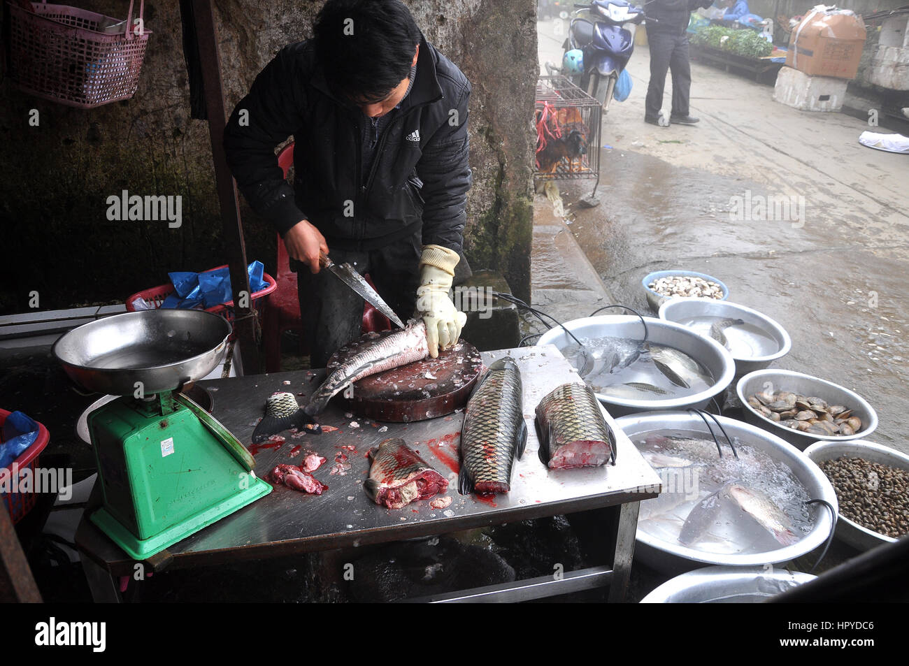 SAPA, VIETNAM - 22. Februar 2013: Unbekannter Mann ausnehmen und säubern eines Fisches im ländlichen Markt von Sapa, Nord-Vietnam Stockfoto