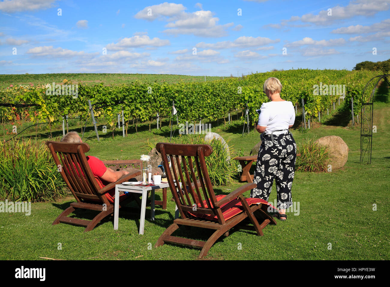 Weinanbau Weinbau Bei Ingenhof Weinberg Und Ein Garten Cafe In