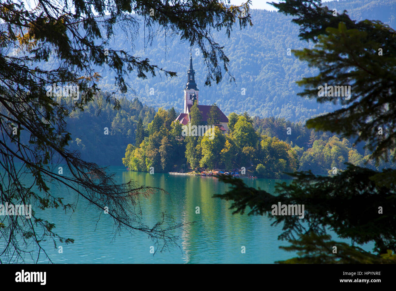 malerische Foto von bled Insel Kirche Trog die Bäume Stockfoto