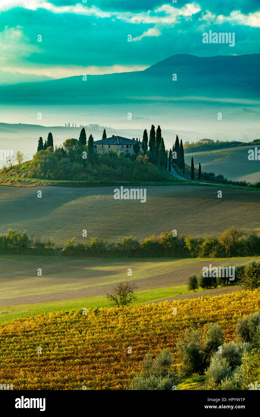 Am frühen Morgen über Weinberg und Podere Belvedere in der Nähe von San Quirico d'Orcia, Toskana, Italien Stockfoto