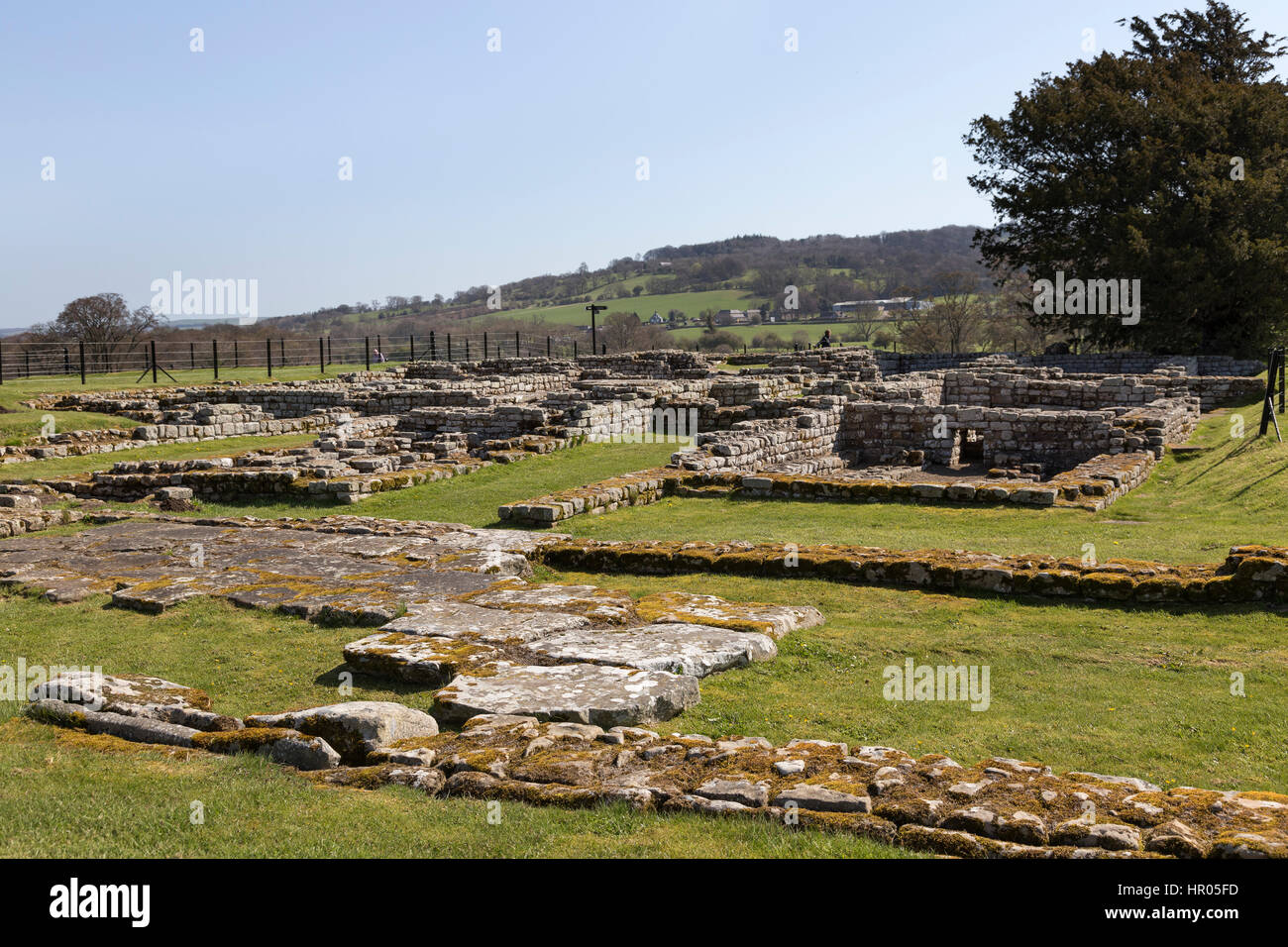 Der Hadrianswall römisches Kastell Chesters (Cilurnum oder Cilurvum