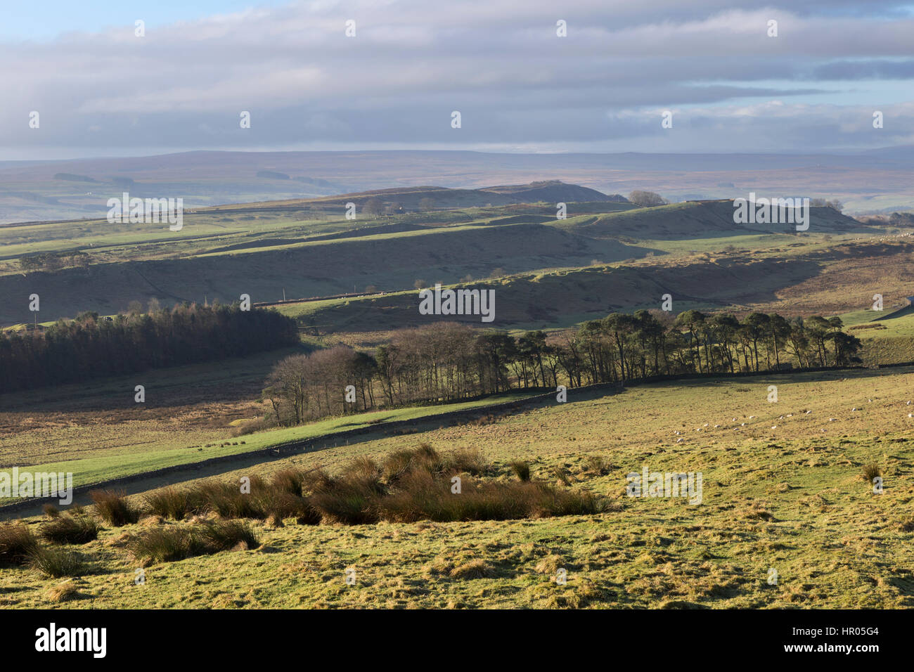 Der Hadrianswall: der Blick nach Südwesten vom König Hill (am Zwinger Klippen, ein wenig östlich von Housesteads) blickt Barcombe Hill Stockfoto