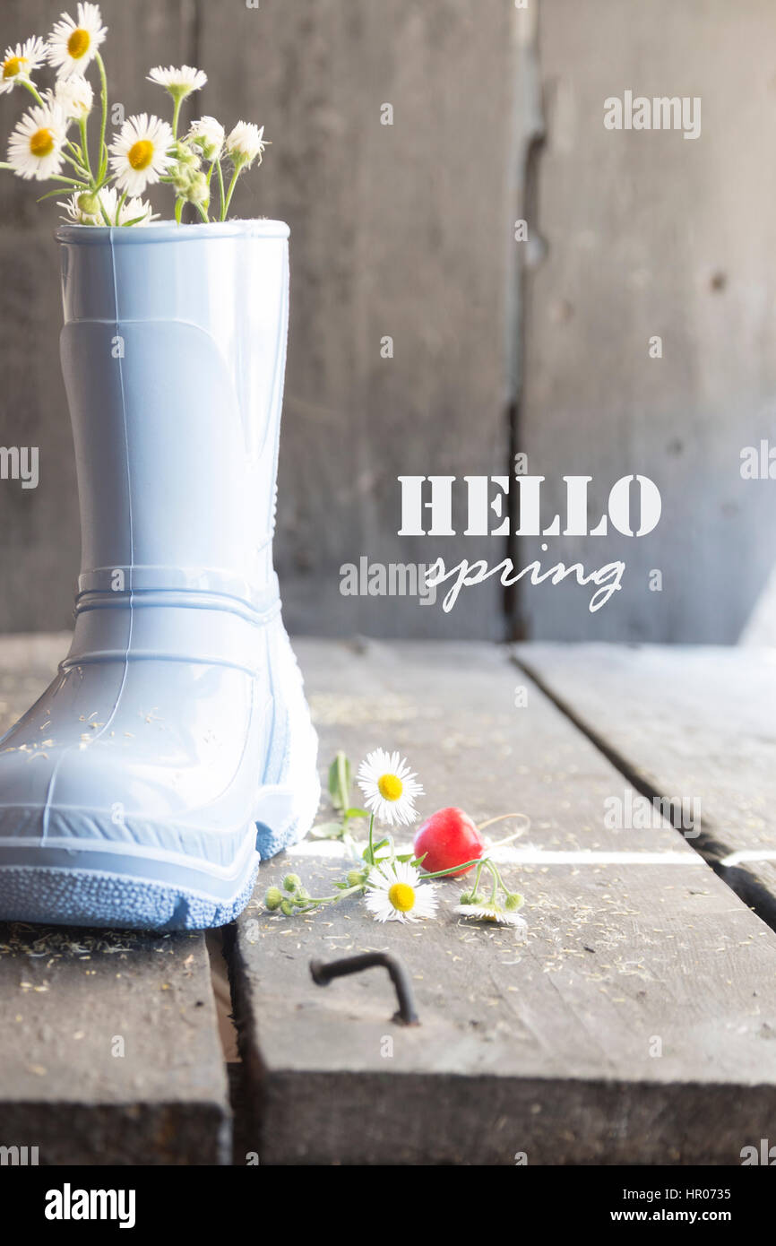 Hallo Frühling Text, Daisy und Stiefel auf einem Vintage Tisch, Stockfoto