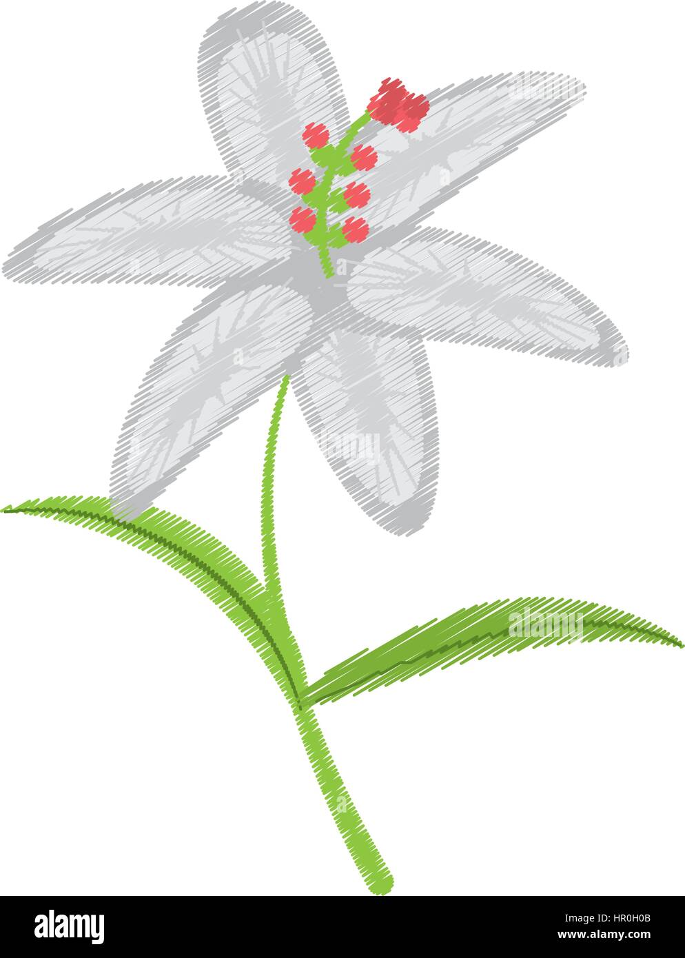Zeichnen Von Krokus Blume Blutenblatt Blatt Stock Vektorgrafik Alamy