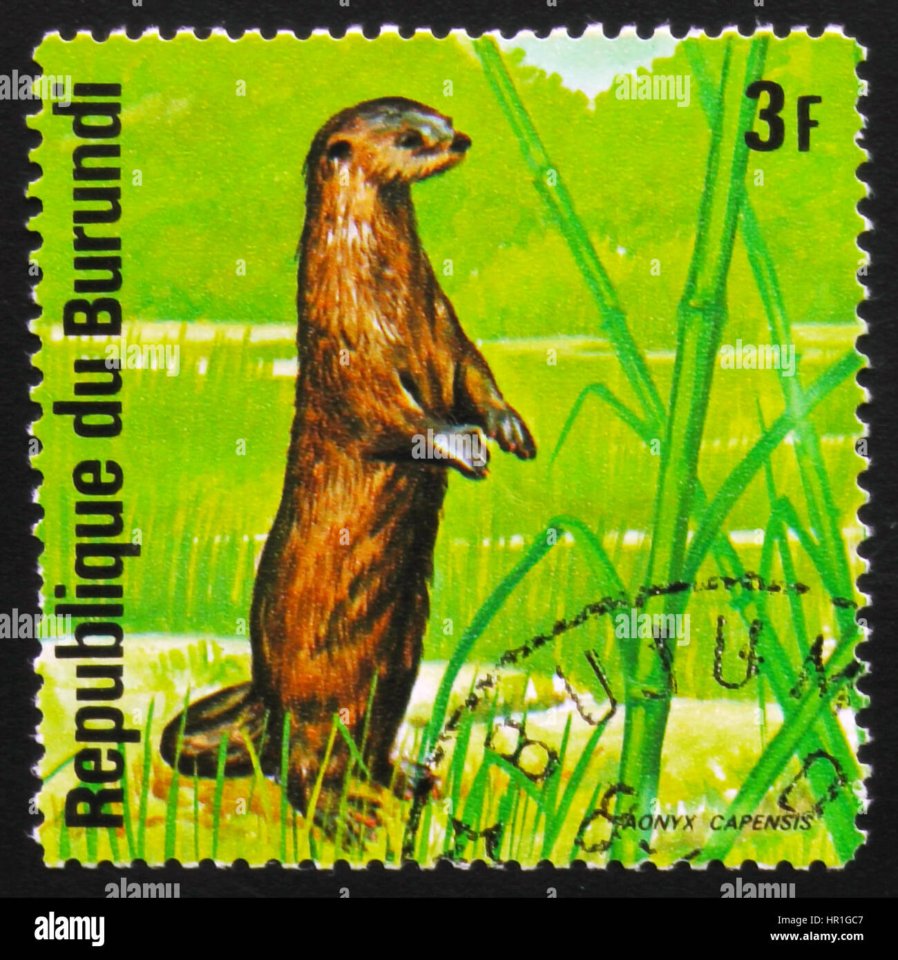 Moskau, Russland - 19. Februar 2017: Eine Briefmarke gedruckt von Burundi zeigt afrikanischen clawless Otter (Aonyx Capensis), Serie Tiere Burundi, ca. 1975 Stockfoto