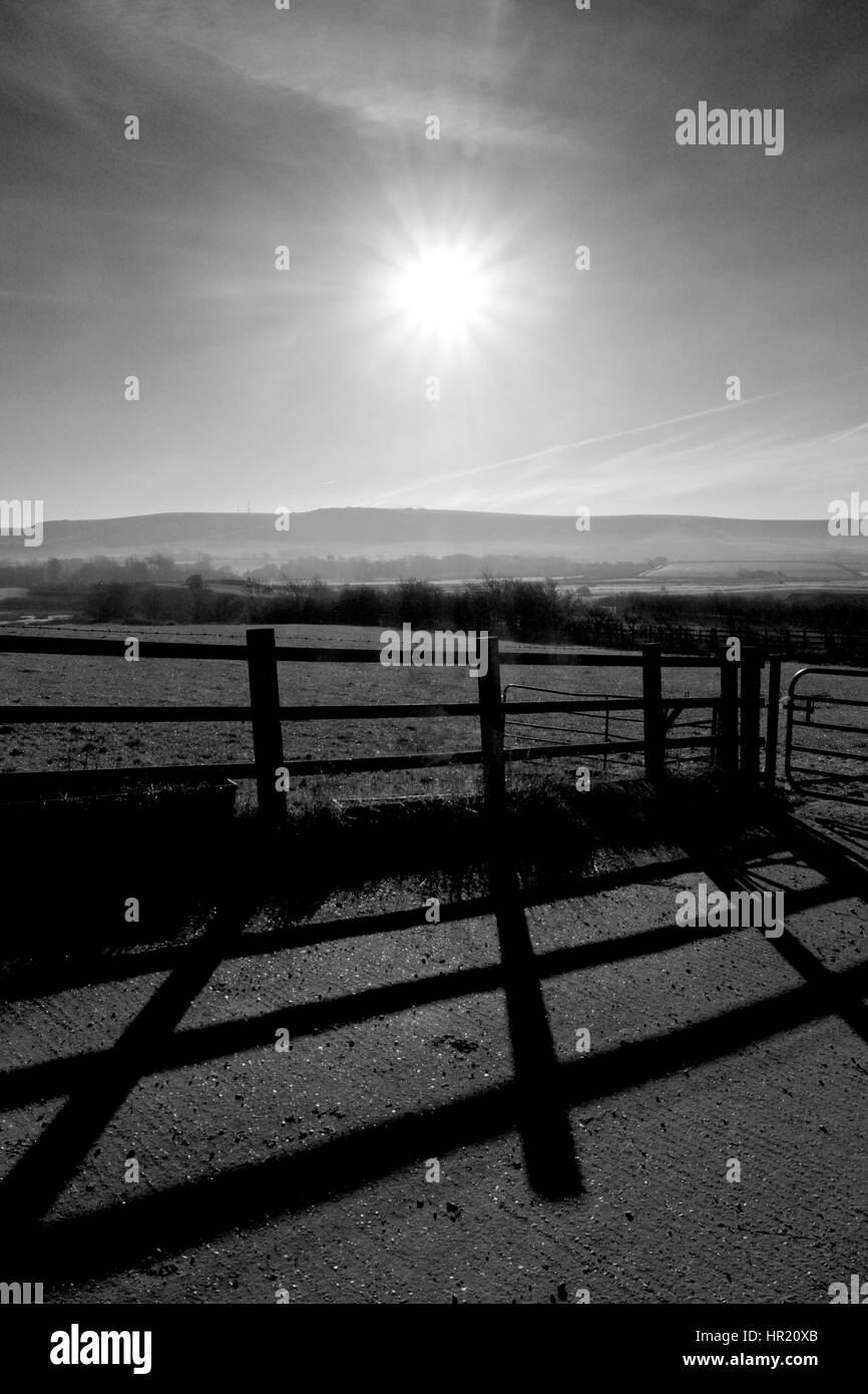 Feld, Zaun, Schatten, Sonne scheint über Feld direkt in die Kamera, South Downs in der Backgroundwith Sonne auf tiefen, Schatten von Zaun Stockfoto