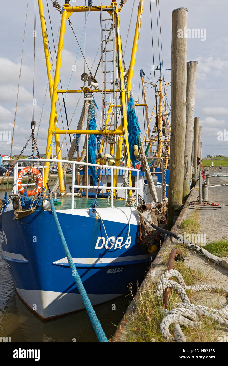 Angelboote/Fischerboote im Hafen, Dorum-Neufeld, Niedersachsen, Deutschland, Europa Stockfoto