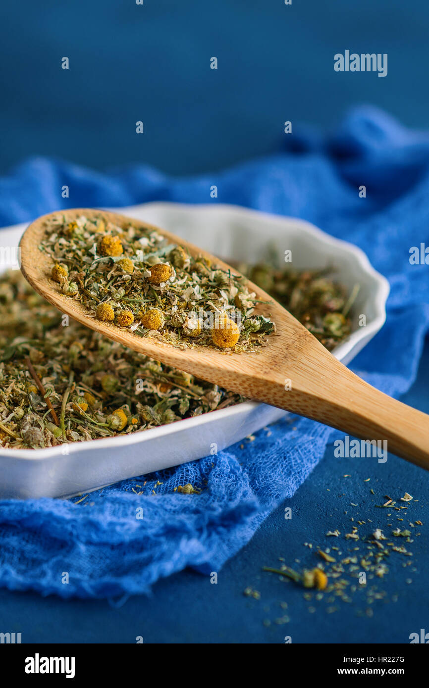 Getrocknete Kamille oder Kamillenblüten zu medizinischen Infusionen auf blauem Hintergrund Stockfoto