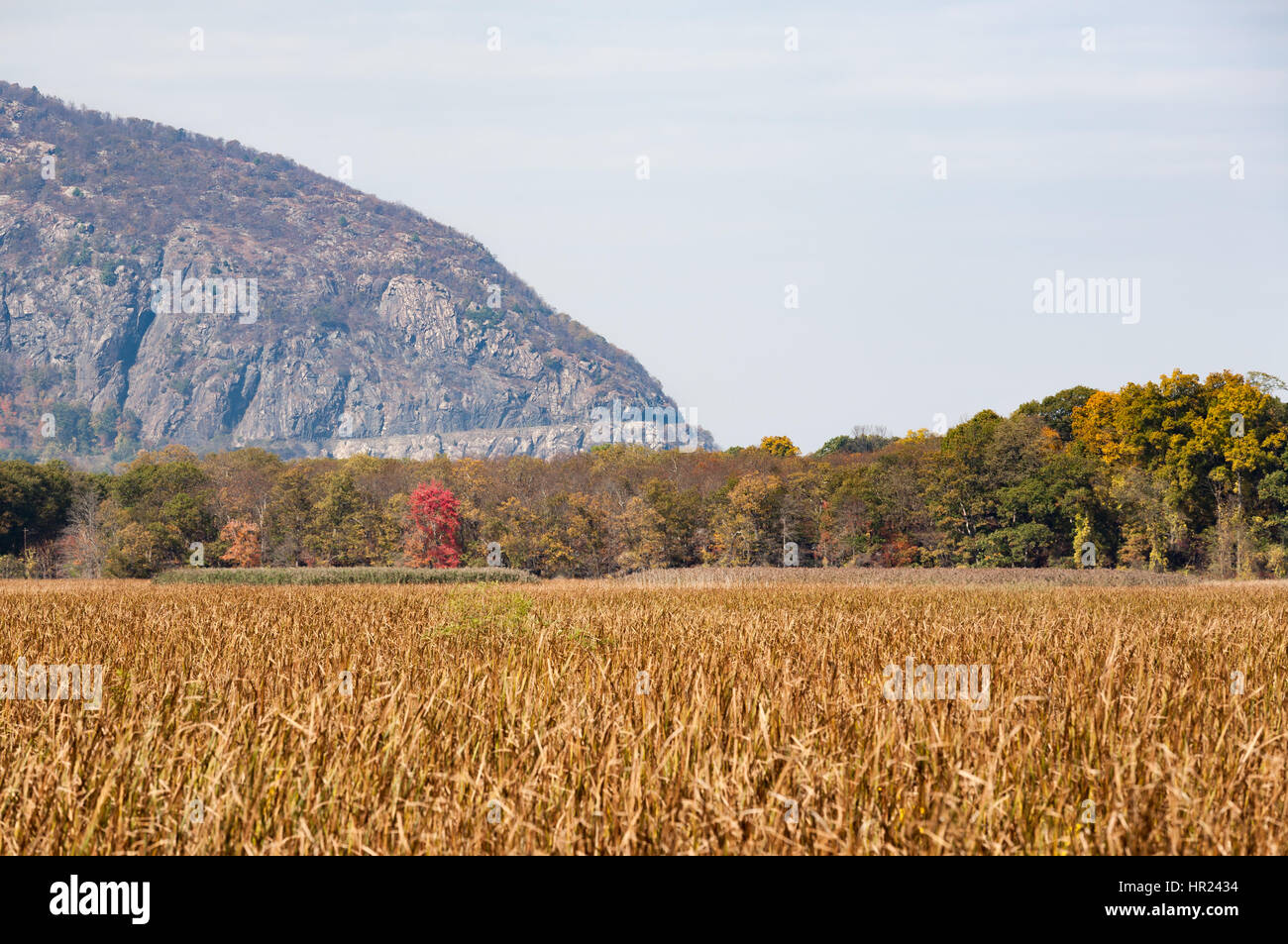 Die Straße auf Storm King Mountain ist sichtbar von Verfassung Marsh, ein 270 Hektar großen Naturschutzgebiet auf dem Hudson River. Stockfoto