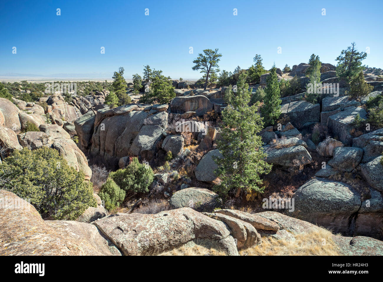 Blick über Penitente Canyon; Colorado; USA Stockfoto