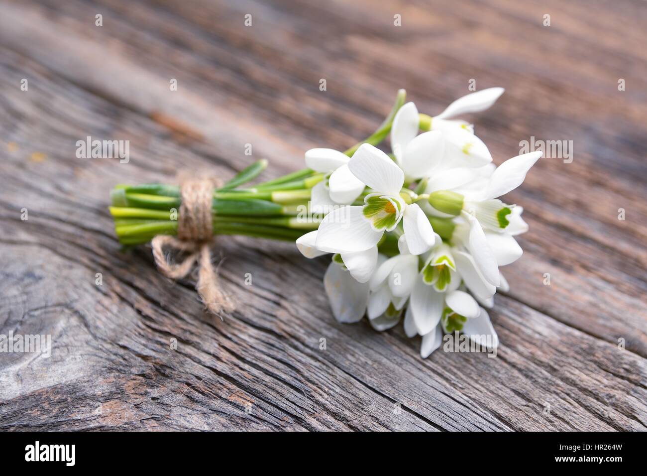 Bouquet von Schneeglöckchen auf hölzernen Hintergrund Stockfoto